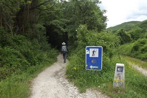 Camino Francés entre Bizkarreta et Lintzoain