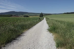 Camino Francés entre Cizur Menor et Zariquiegui
