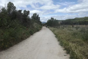 Camino Francés entre Villatuerta et Estella