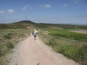 Camino Francés entre Ventosa et Nájera, Poyo Roldan