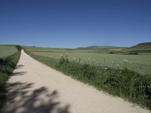 Camino Francés entre Espinosa del Camino et Villafranca Montes de Oca