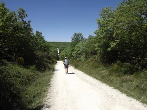 Camino Francés entre Villafranca Montes de Oca et San Juan de Ortega
