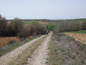 Camino Francés entre Calzadilla de la Cueza et Ledigos