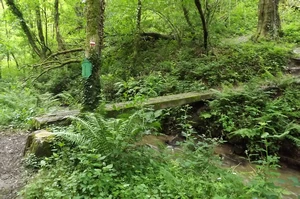 Ruisseau de la Brousse et Méridienne verte