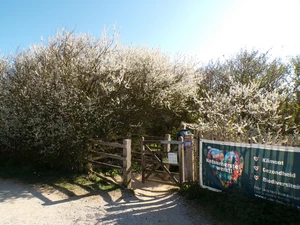 Blankenberge, De Fonteintjes