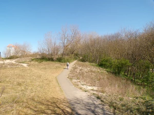 Knokke, Directeur-generaal Willemspark
