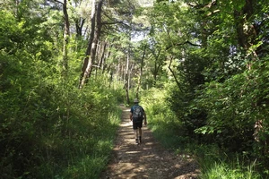 Camino Francés entre Larrasoaña et Zuriain