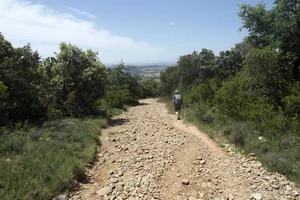 Camino Francés entre l'Alto del Perdón et Uterga