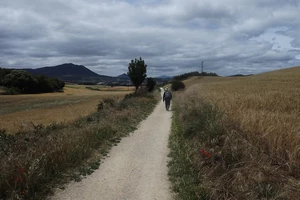 Camino Francés entre Lorca et Villatuerta