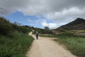 Camino Francés entre Azqueta et Villamayor de Monjardín
