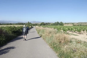 Camino Francés entre Viana et Logroño