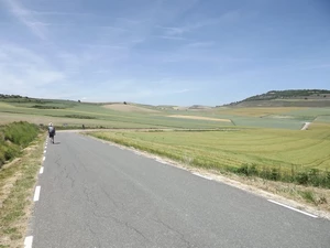 Camino Francés entre Viloria de Rioja et Belorado
