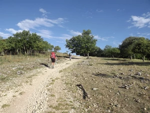 Camino Francés entre Atapuerca et Cardeñuela Riopico
