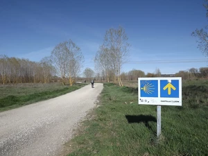 Camino Francés entre Burgos et Tardajos