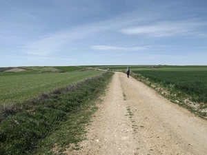 Camino Francés entre Rabé de las Calzadas et Hornillos del Camino