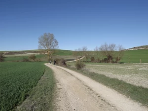 Camino Francés entre Hornillos del Camino et Hontanas