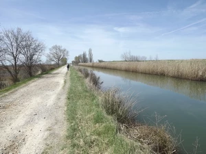 Camino Francés : canal de Castille