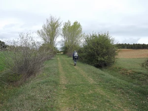 Camino Francés entre Corbillos de la Sobarriba et León