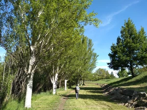 Camino Francés entre León et La Virgen del Camino