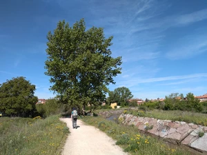 León, canal de Carbosillo