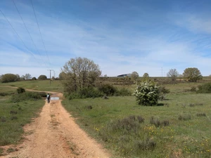 Camino Francés entre León et La Virgen del Camino