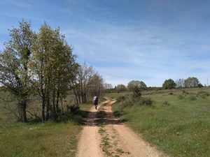 Camino Francés entre León et La Virgen del Camino