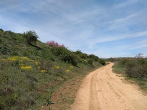 Camino Francés entre Valverde de la Virgen et San Miguel del Camino