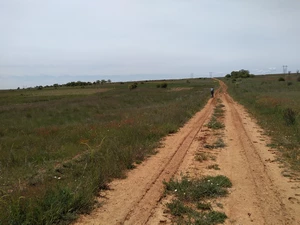Camino Francés entre San Miguel del Camino et Villadangos del Páramo