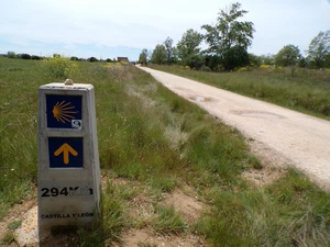 Camino Francés entre San Miguel del Camino et Villadangos del Páramo