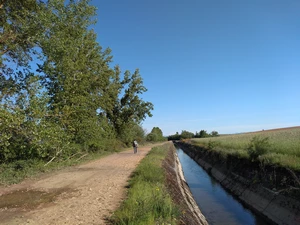 Camino Francés entre Villadangos del Páramo et Celadilla del Páramo