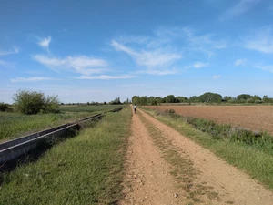 Camino Francés entre Villadangos del Páramo et Celadilla del Páramo