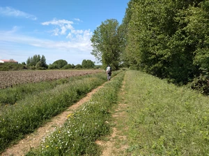Camino Francés entre Celadilla del Páramo et Santa Marina del Rey