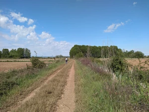 Camino Francés entre Celadilla del Páramo et Santa Marina del Rey