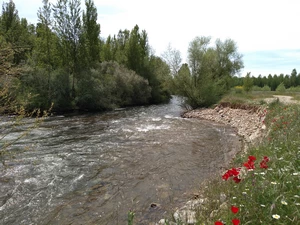 Camino Francés entre Santa Marina del Rey et Hospital de Órbigo