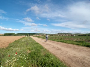 Camino Francés entre Hospital de Órbigo et Villares de Órbigo