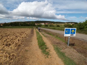 Camino Francés entre Villares de Órbigo et Santibáñez de Valdeiglesias