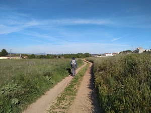 Camino Francés entre Astorga et Murias de Rechivaldo
