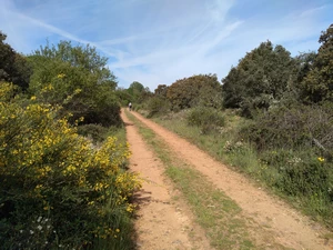 Camino Francés entre Astorga et Castrillo de los Polvazares