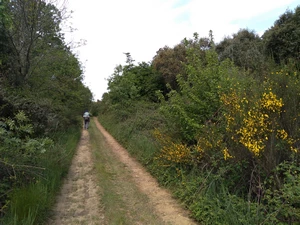 Camino Francés entre Castrillo de los Polvazares et Santa Catalina de Somoza