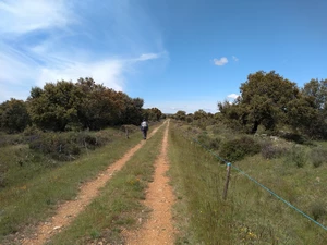 Camino Francés entre Santa Catalina de Somoza et El Ganso
