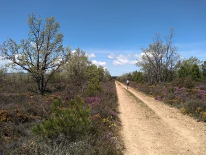 Camino Francés entre El Ganso et Rabanal del Camino