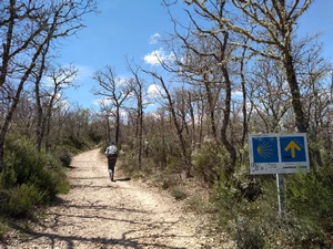 Camino Francés entre El Ganso et Rabanal del Camino