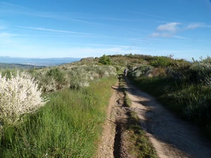 Camino Francés entre El Acebo et Riego de Ambrós