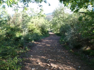 Camino Francés entre El Acebo et Riego de Ambrós