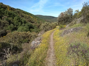 Riego de Ambrós, las Puentes de Malpaso