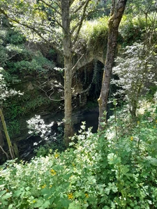 Riego de Ambrós, las Puentes de Malpaso (Puente Pequeño)