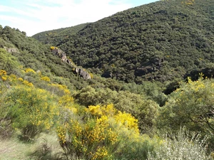 Molinaseca, las Puentes de Malpaso
