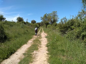 Camino Francés entre Molinaseca et Ponferrada