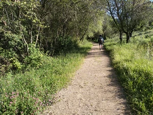 Camino Francés entre Ponferrada et Compostilla