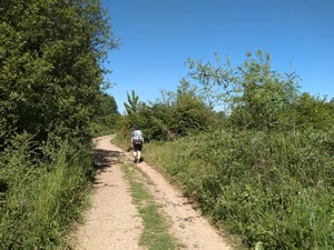 Camino Francés entre Fuentesnuevas et Camponaraya